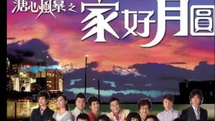 《家好月圆》短剧在线观看，我不会在原地等你（48集）短剧在线观看，我不会在原地等你48集短剧在线观看