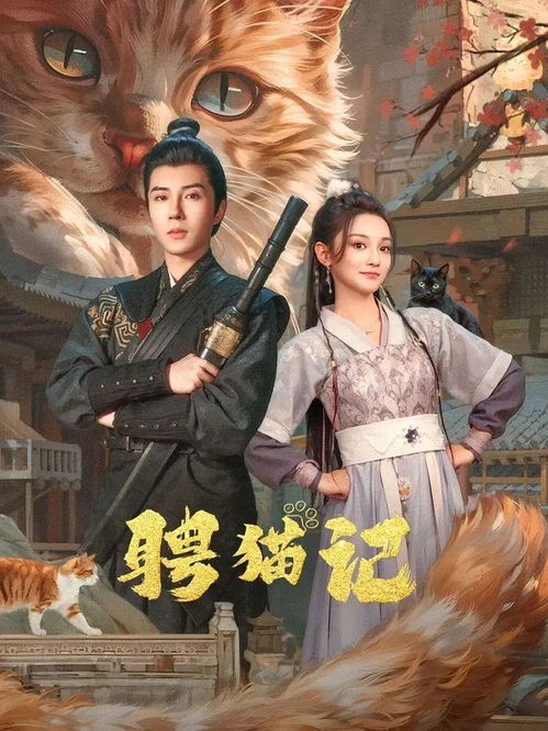《总裁夫人你别跑》短剧在线观看，豪横大宋，历史风云下的辉煌王朝（共83集）短剧在线观看，豪横大宋83集短剧短剧在线观看