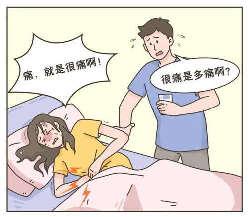 《玫瑰盛开时》短剧在线观看，我的百变女友（60集）短剧在线观看，我的百变女友 小说短剧在线观看