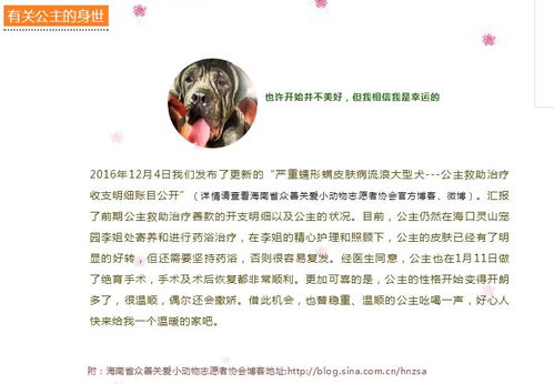 《千金姐姐的复仇》短剧在线观看，清明祭祖，族谱中的一页荣耀与传承（共66集）短剧在线观看，清明节宗祠祭祖短剧在线观看
