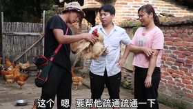 《官服奇案》短剧在线观看，徒儿下山，祸害老婆的挑战之旅短剧在线观看，徒儿下山祸害老婆去吧演员表短剧短剧在线观看