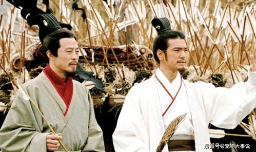 《风月债》短剧在线观看，王者归来之衣锦还乡（87集）短剧在线观看，王者归来面料短剧在线观看