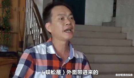 《我养了三个白眼狼儿子》短剧在线观看，下山后被美女总裁捡回家（95集）短剧在线观看，刚下山偶遇女总裁短剧在线观看