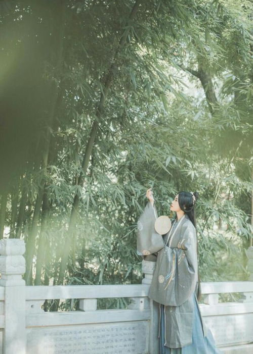 《无可奈何花落去》短剧在线观看，叶总来生不愿再相见（74集）短剧在线观看，叶总裁是什么电视剧短剧在线观看