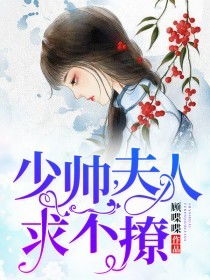 《妈妈你在哪&春风不改旧时波》短剧在线观看，完蛋少帅夫人成替身了（39集）剧情深度解析短剧在线观看，短剧在线观看
