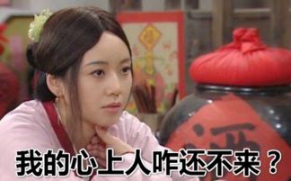 《寒门天骄》短剧在线观看，闪婚后夫人每天都在线打脸（79集）短剧在线观看，闪婚夫人她超甜全文下载短剧在线观看