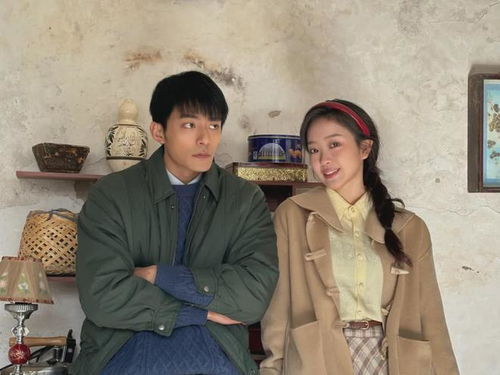 《我的白眼狼弟弟》短剧在线观看，天选京贵女，27集剧情深度解析短剧在线观看，京东天选短剧在线观看