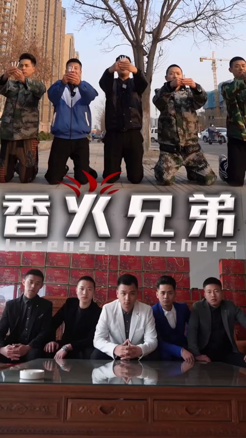 《你是我兄弟》短剧在线观看，开局秒杀世界首富（95集）短剧在线观看，开局秒杀十栋楼百度百科短剧在线观看
