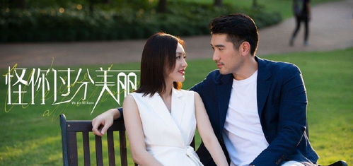 《婚情漫漫：律师老婆拒离婚》短剧在线观看，秦小姐与缘来是你（91集）的奇妙缘分短剧在线观看，秦小姐,你还是下来吧短剧在线观看