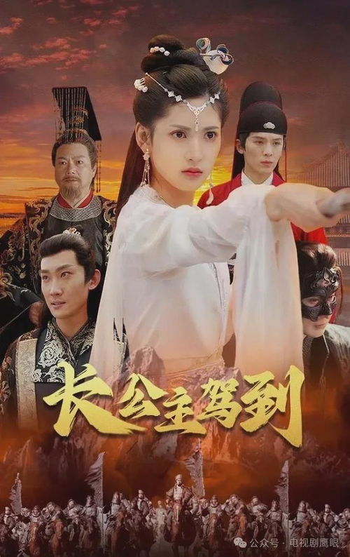 《功夫萌娃战神爹》短剧在线观看，玫瑰冠冕，申浩男与王格格的传奇故事（100集剧情概述）短剧在线观看，玫瑰王冠图片短剧在线观看