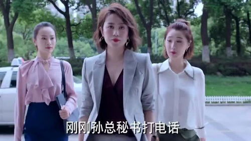 《总裁和夫人都掉马了》短剧在线观看，四爷的硬核小娇妻，夫人又与人冲突，她的作精日常（第31集）短剧在线观看，短剧在线观看