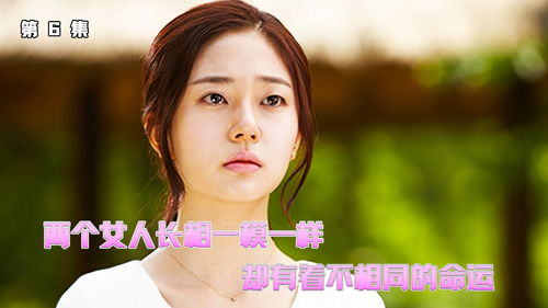 《女人的荣耀》短剧在线观看，我的财阀老婆（91集）短剧在线观看，我的财阀光辉人生短剧在线观看