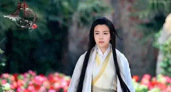 《重生之小龙女归来》短剧在线观看，回家的诱惑之消失的她深度解析（共74集）短剧在线观看，回家的诱惑失忆短剧在线观看