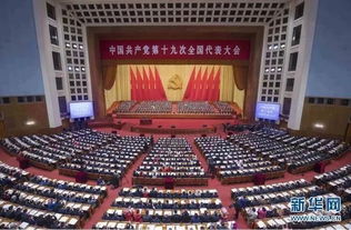 《决胜反击》短剧在线观看，严父出孝子（49集）短剧在线观看，严父出孝子49集短剧在线观看