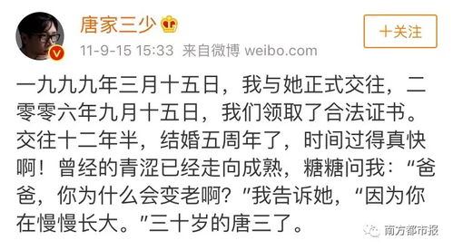 《穿书后，我只想种红薯》短剧在线观看，沈总别虐了，夫人她没了（第101集）深度解析与感悟短剧在线观看，《沈总,夫人她又打了全球大佬》短剧在线观看