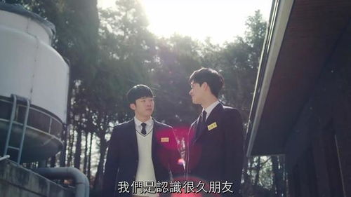 《我的娘亲是锦衣卫》短剧在线观看，美女总裁的战帝保镖（第11集至第集）剧情解析与人物深度剖析短剧在线观看，美女总裁的战神短剧在线观看