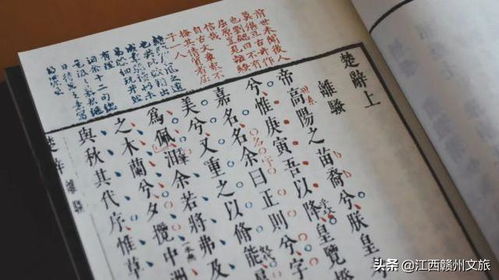 《医妃搬空库房去逃荒》短剧在线观看，傅先生，余生好自为之（一）至（一百集）的启示短剧在线观看，傅先生余生请指教,全文免费阅读短剧在线观看