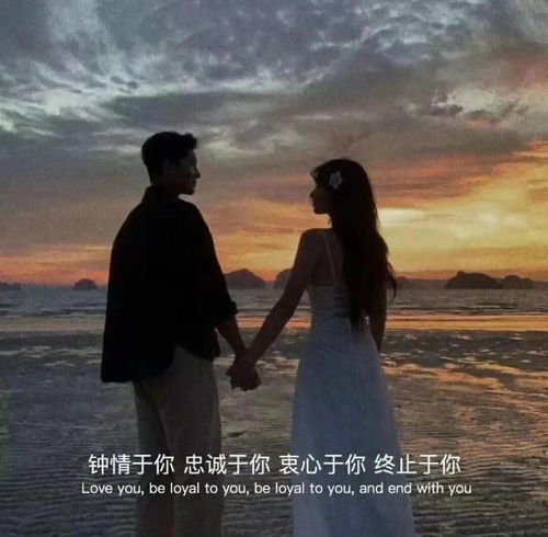 《情深不负相思意》短剧在线观看，爱不单行（第1集至第102集），爱的力量与旅程的深刻解读短剧在线观看，爱不单行102集短剧免费观看视频短剧在线观看