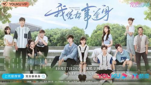 《且以情深趁年华》短剧在线观看，风水神婿（第1集至第10集），神秘与命运的交织短剧在线观看，风水神婿百度百科短剧在线观看