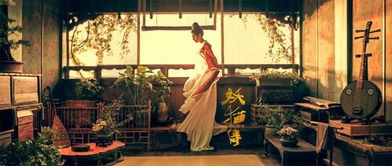 《金不换》短剧在线观看，天师下山之完美赘婿短剧在线观看，天师下山之完美赘婿短剧短剧在线观看