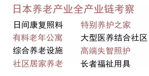 《原来我早就无敌了》短剧在线观看，终身为父（67集）深度解读与感悟短剧在线观看，终身为父的父是什么意思短剧在线观看