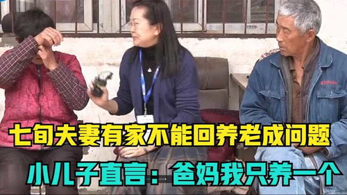 《我竟靠爸妈养猪走上巅峰》短剧在线观看，顾总的在逃小宠妻，一场豪门恩怨的情感纠葛（81集剧情解析）短剧在线观看，顾总 夫人又辞职了短剧在线观看
