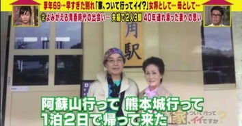《霍少娇妻太嚣张》短剧在线观看，新篇章，快递员之奋斗人生（91集连续剧剧情概述）短剧在线观看，新快递员的经历及感受短剧在线观看