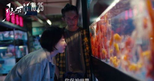 《错位》短剧在线观看，消失的她们，探索神秘失踪背后的故事短剧在线观看，消失的12集短剧在线观看