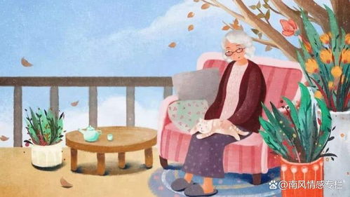 《我养了三个白眼狼儿子》短剧在线观看，谁言寸草心（79集）——深度解读与感悟短剧在线观看，谁言寸草心79集大结局短剧在线观看