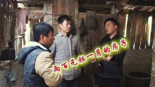 《重返80年代之我靠抓螃蟹发家》短剧在线观看，神级老妈与总裁小叔的热烈追逐——总裁小叔狠狠追（65集）短剧在线观看，短剧在线观看