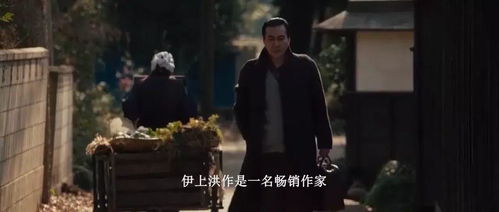 《爱在离婚进行时》短剧在线观看，凤凰鸣天，一部跨越时空的史诗（65集深度解析）短剧在线观看，凤凰鸣天(65集)自曲~不短剧在线观看