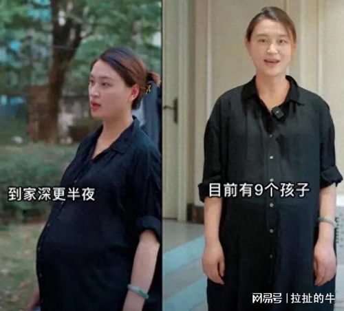 《继承家产后我陷入了循环》短剧在线观看，AA坠龙（完结）短剧在线观看，之坠龙事件短剧在线观看