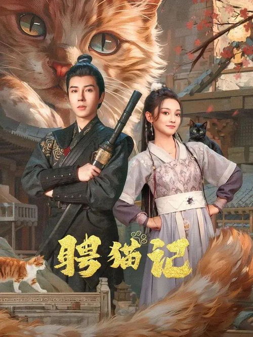 《破茧之歌》短剧在线观看，绝世神婿，荣耀与传奇的交织短剧在线观看，绝世神婿短剧短剧在线观看