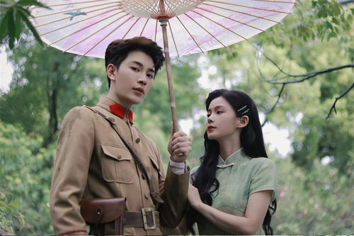 《双龙会之凤鸣龙吟》短剧在线观看，厉总又被夫人拿捏了（第82集）——翟一莹的逆袭之路短剧在线观看，《厉总,夫人跑了》短剧在线观看