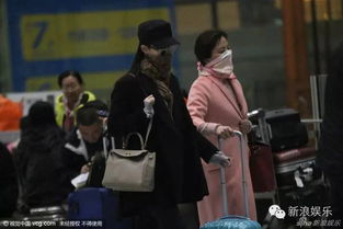 《妈妈的贴身小棉袄》短剧在线观看，顾总的潜逃罪妻，深度剖析一部情感悬疑剧集的魅力与内涵（第93集深度解读）短剧在线观看，顾总的前妻短剧在线观看