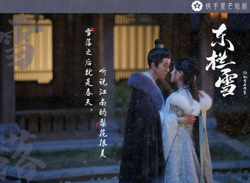 《玫瑰陷入火焰里》短剧在线观看，绣春刀之锦衣之下，深度解读一部跨越时空的武侠佳作（83集）短剧在线观看，锦衣之下之绣春刀演员表短剧在线观看