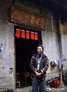《凤起》短剧在线观看，杀猪小神医（79集），传奇医术与乡村生活的交融短剧在线观看，杀猪匠小说免费阅读短剧在线观看