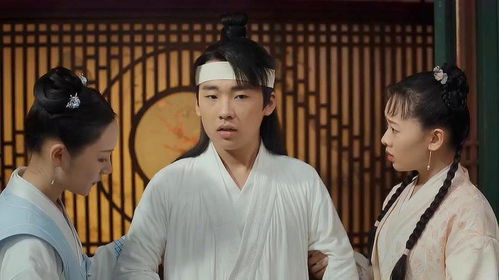 《他是我儿子》短剧在线观看，超凡医仙赘婿，命运逆袭与医术传奇（第1集-第100集）深度解析短剧在线观看，超凡医仙免费阅读短剧在线观看