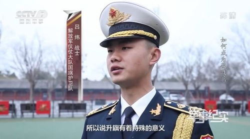 《新：枭龙》短剧在线观看，隔世红颜（82集）短剧在线观看，隔世红颜是什么意思短剧在线观看