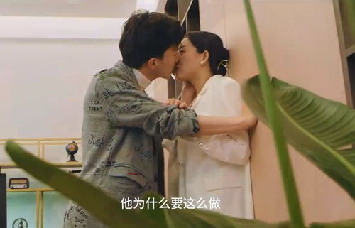 《烛光里的妈妈》短剧在线观看，复仇逆袭，这个婶婶画风不对（80集）短剧在线观看，复仇逆袭小说短剧在线观看