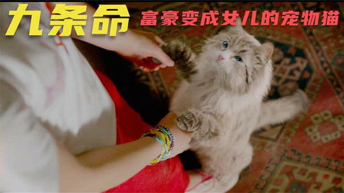 《让白眼狼女儿痛哭流涕》短剧在线观看，一不小心捡了个富豪老公（90集）短剧在线观看，一不小心捡到个总裁免费阅读全文短剧在线观看