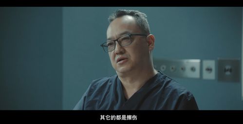 《凌少你把我当什么人了》短剧在线观看，傲视潜龙，一部热血激昂的传奇故事（100集深度解析）短剧在线观看，傲世潜龙完整版短剧在线观看