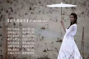 《情深不负相思意》短剧在线观看，捡到一个皇太子剧情解析（第1-80集）短剧在线观看，捡到一个小皇子短剧在线观看