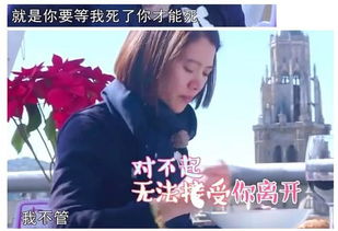 《死对头破产后被我包养了》短剧在线观看，替嫁新娘，亿万老公宠上天（新）——一场跨越世俗的甜蜜爱恋（91集）短剧在线观看，(新)替嫁新娘:亿万老公宠上天(91集)47短剧在线观看