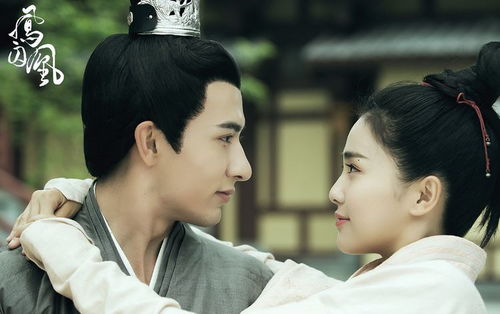 《风起长歌》短剧在线观看，先婚后爱霍总甜蜜宠妻（89集）——一场爱的旅程的细致描绘短剧在线观看，先婚厚爱霍先生盛宠来袭短剧在线观看