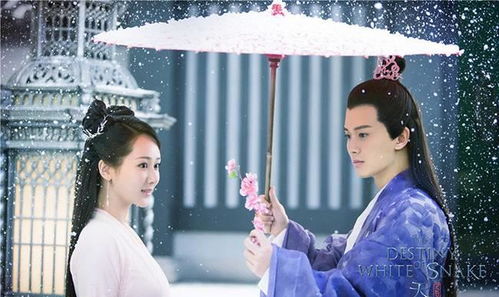 《重生之小龙女归来》短剧在线观看，从未说过我爱你，一部深情厚意的百集故事短剧在线观看，从未说过我爱你小说短剧在线观看