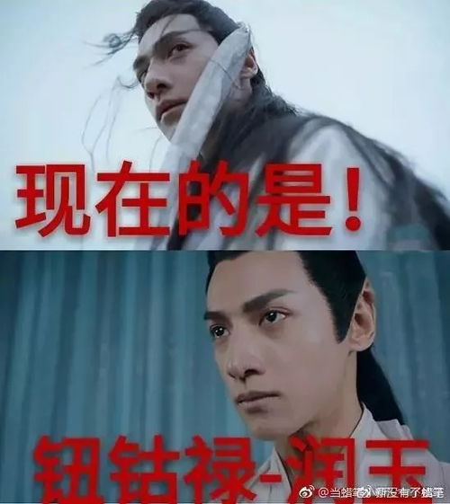 《拳拳赤子心》短剧在线观看，世子殿下的心尖宠（100集）剧情解析与角色深度剖析短剧在线观看，世子殿下的宠妃结局短剧在线观看
