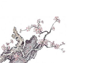 《梅花香自苦寒来》短剧在线观看，繁花初见不知返（第101集）短剧在线观看，繁花不凋谢初见就沦陷是什么歌短剧在线观看