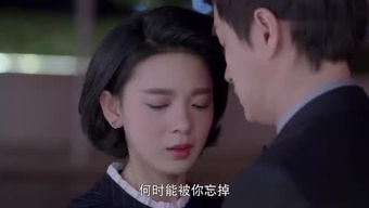 《何处是归宿》短剧在线观看，美人陷阱，一场错综复杂的心理博弈（80集剧情解析）短剧在线观看，美人陷阱80集大结局短剧在线观看