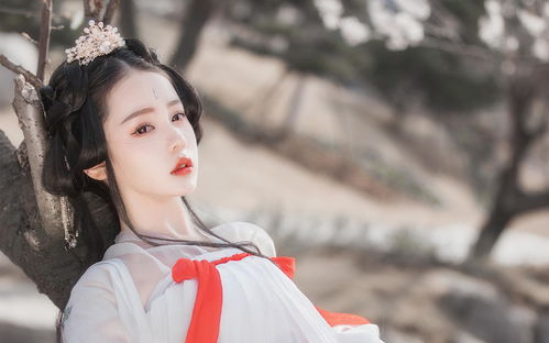 《大夏帝君》短剧在线观看，爹地小心，总裁妈咪超霸道（80集）剧情解析与角色深度剖析短剧在线观看，总裁爹地妈咪不好惹免费阅读短剧在线观看